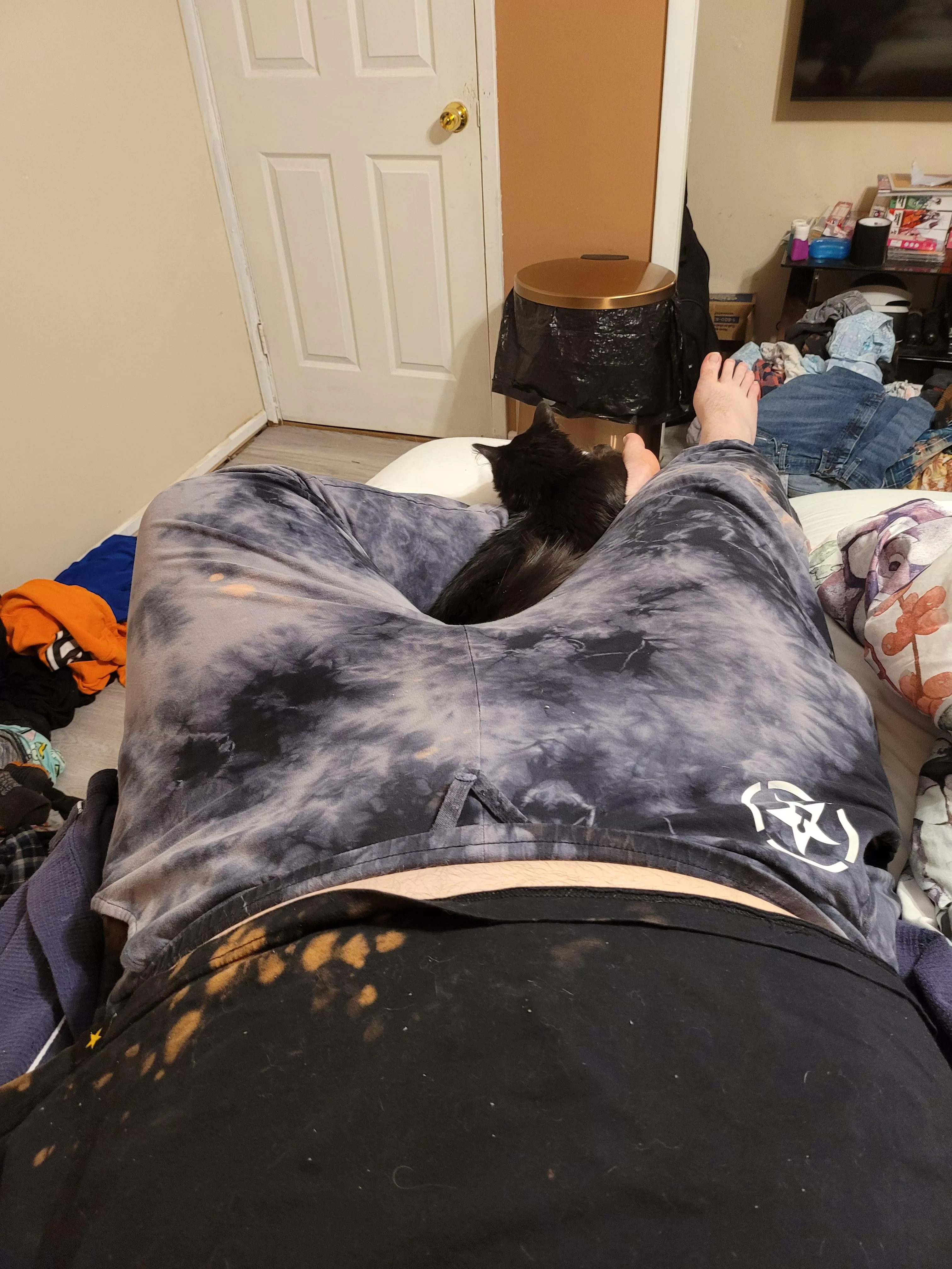 My cat seems to think it's a comfy place to settle 😘