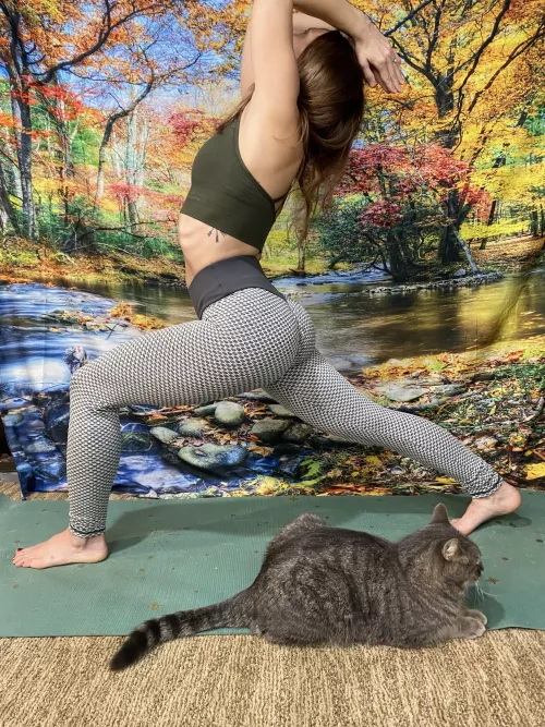 My cats are always joining me for morning yoga🧘‍♀️ 😁