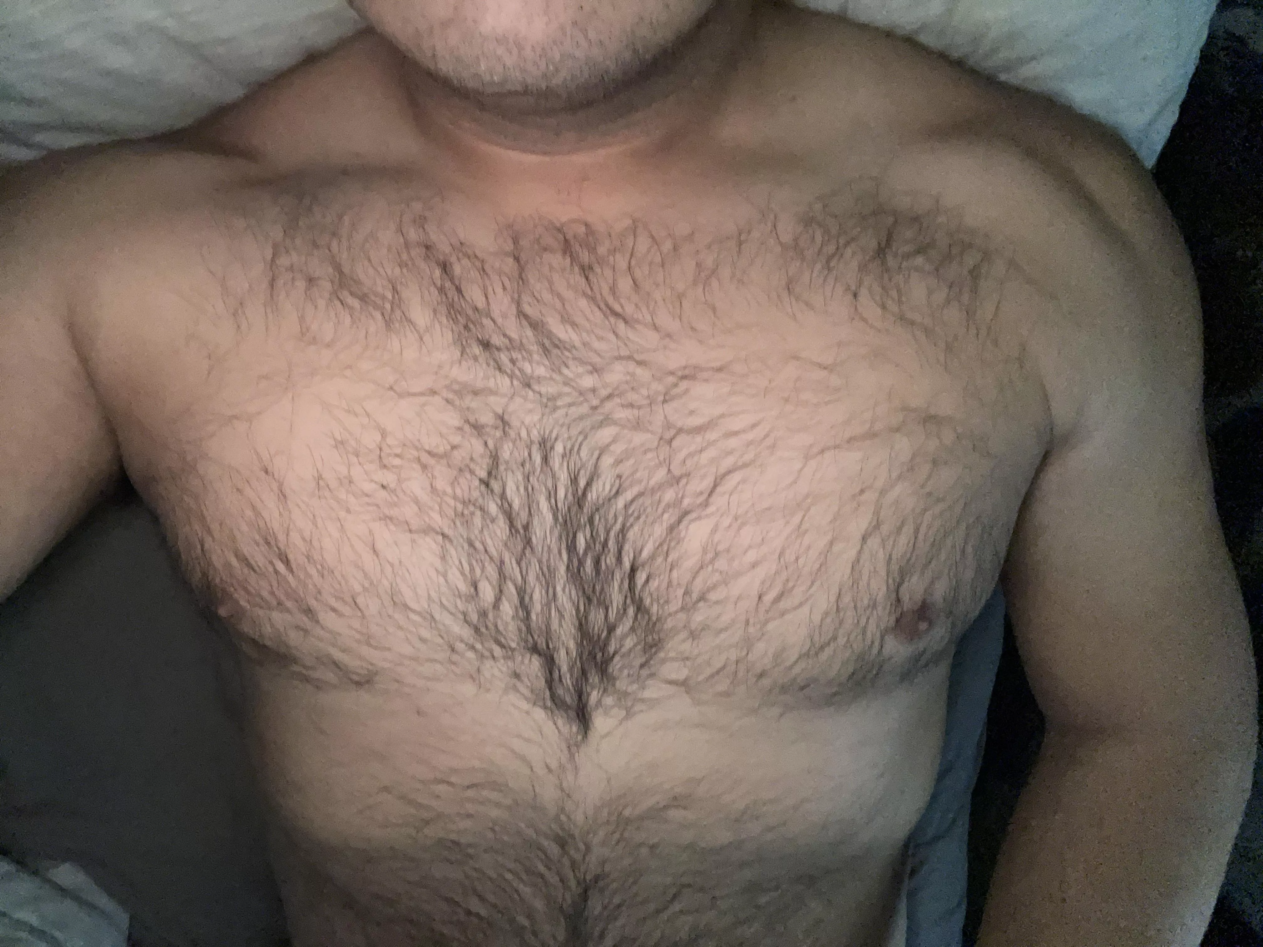 My chest hair