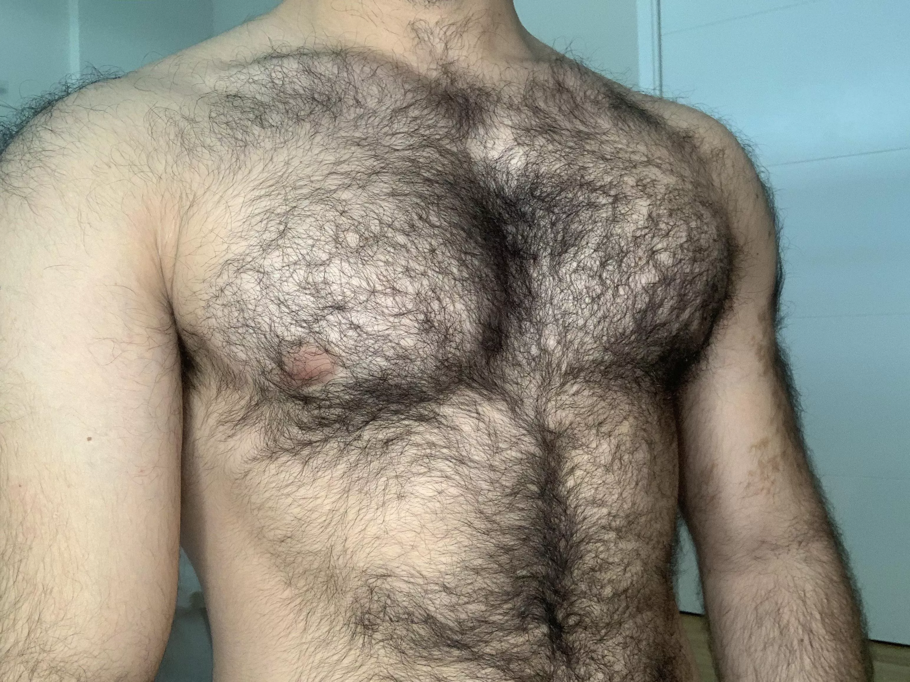 My chest is hairy I think