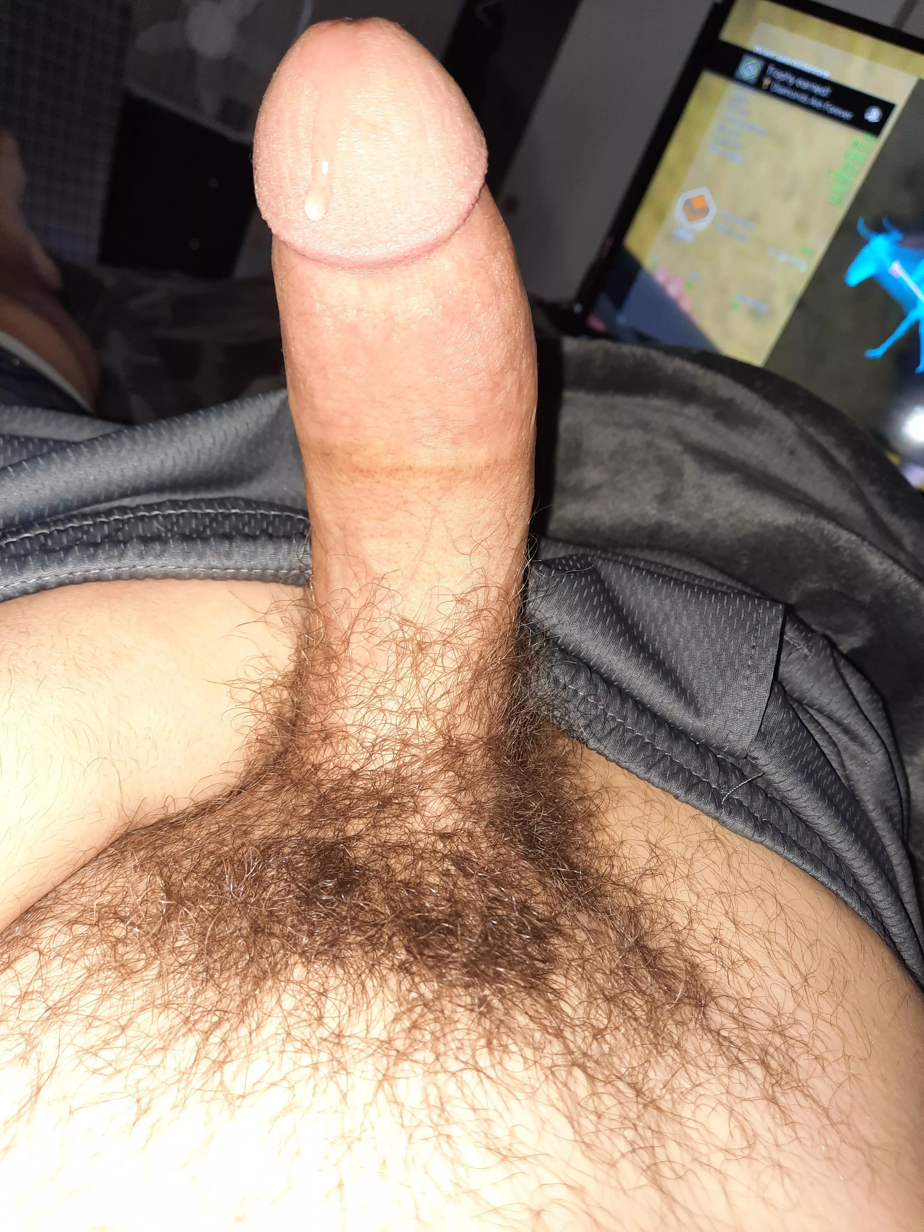 My cock before I decided to shave. Should I grow it out again?