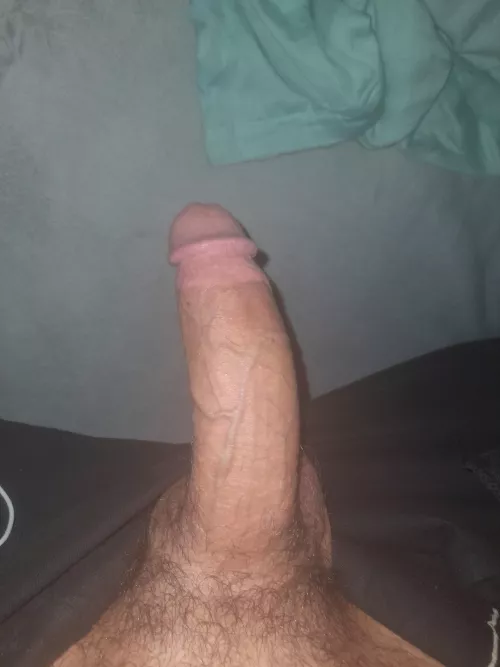 my cut cock
