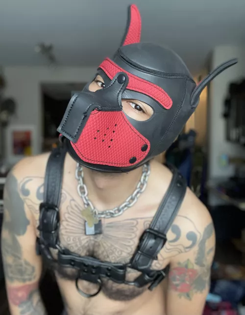 My face when you say, “happy birthday, Hunter!”