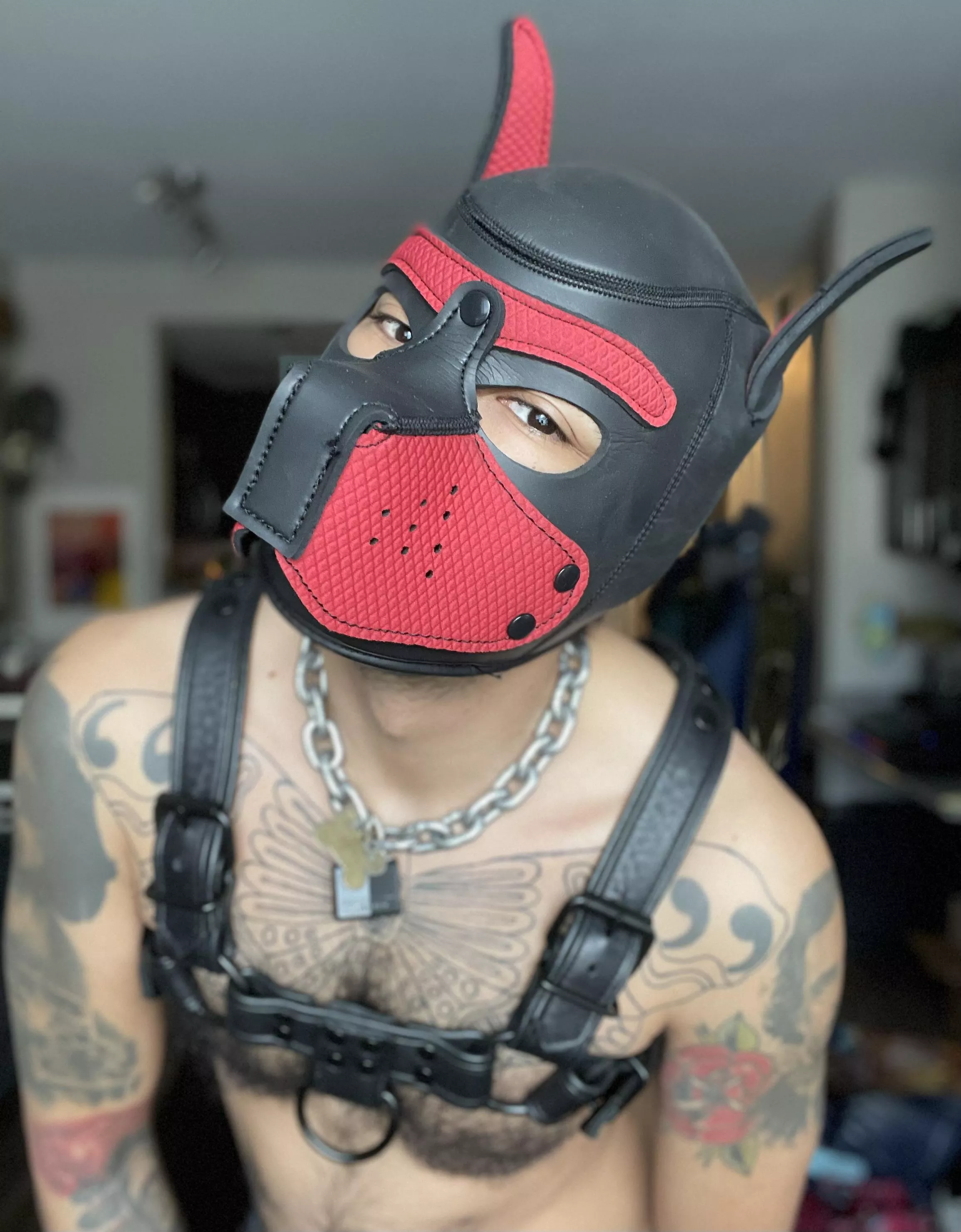 My face when you say, “happy birthday, Hunter!”