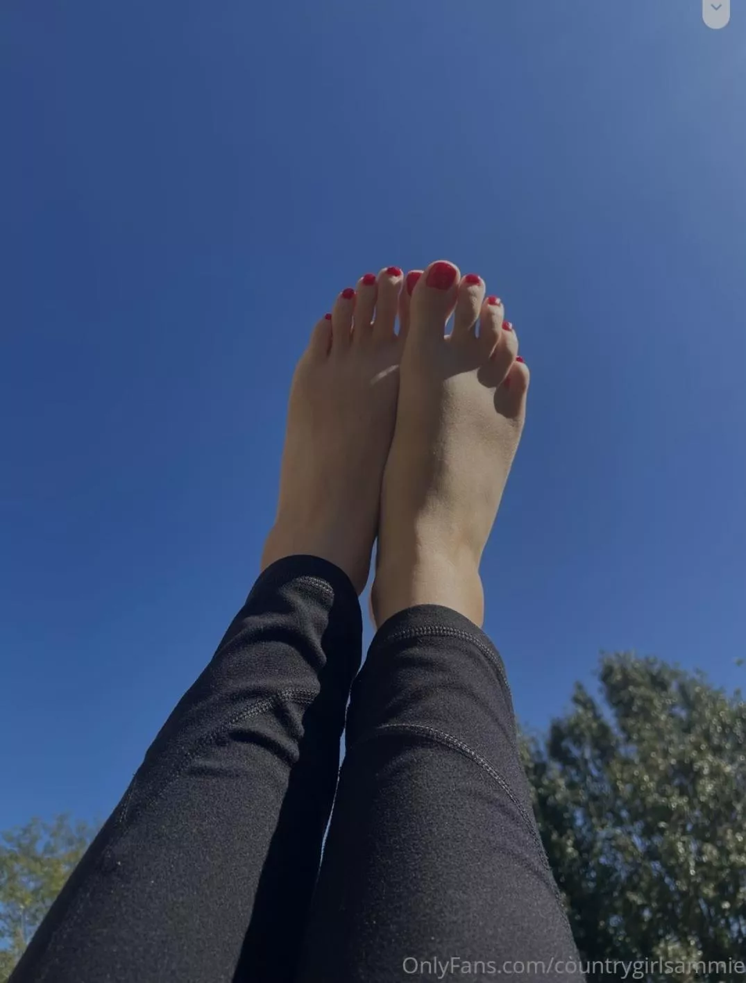 My feet look so amazing today My feet look so amazing today