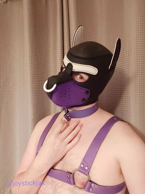 My first collar, feels amazing arroo!