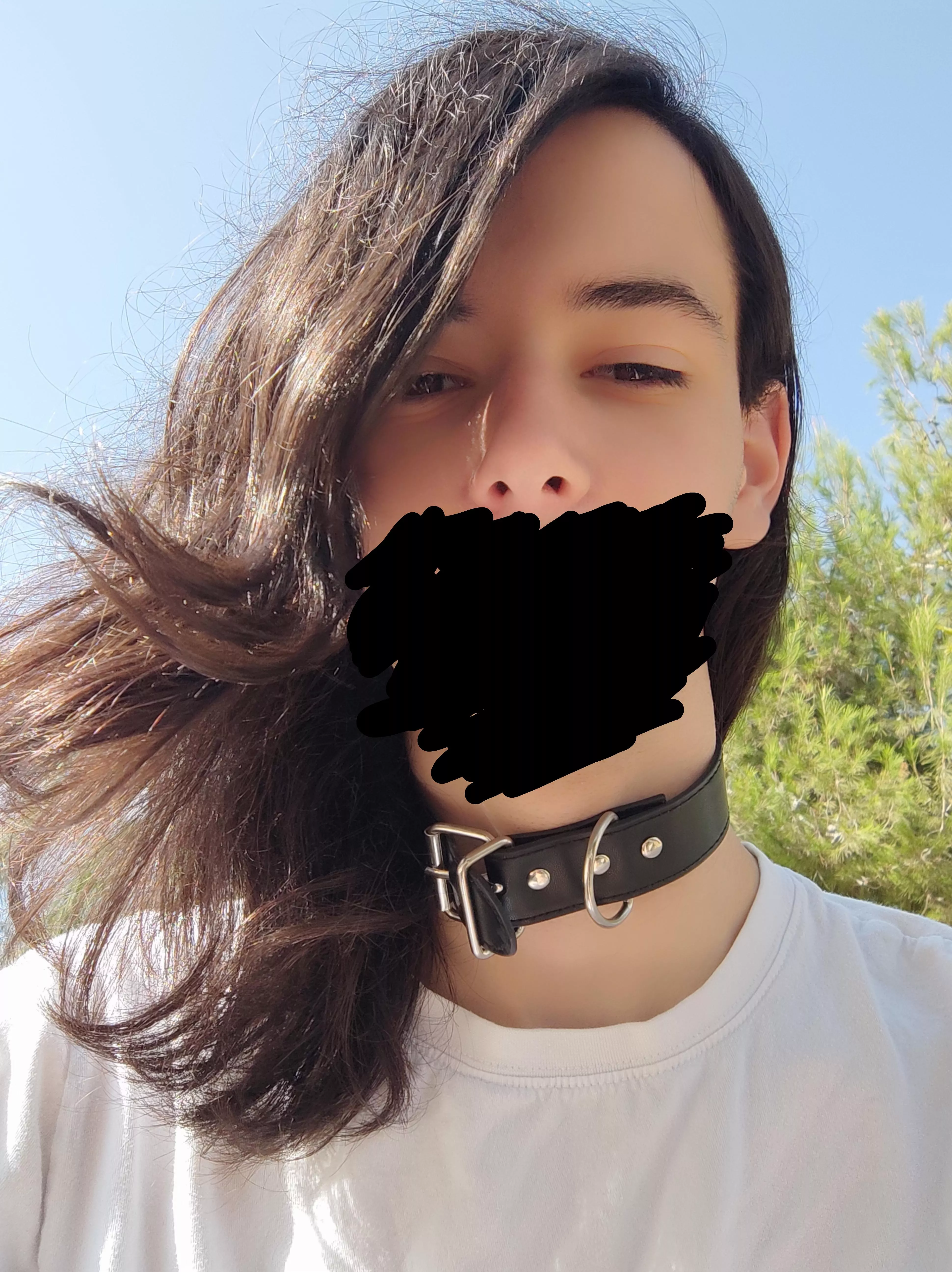 My frien let me use her collar for a bit and I love how it looked >w<