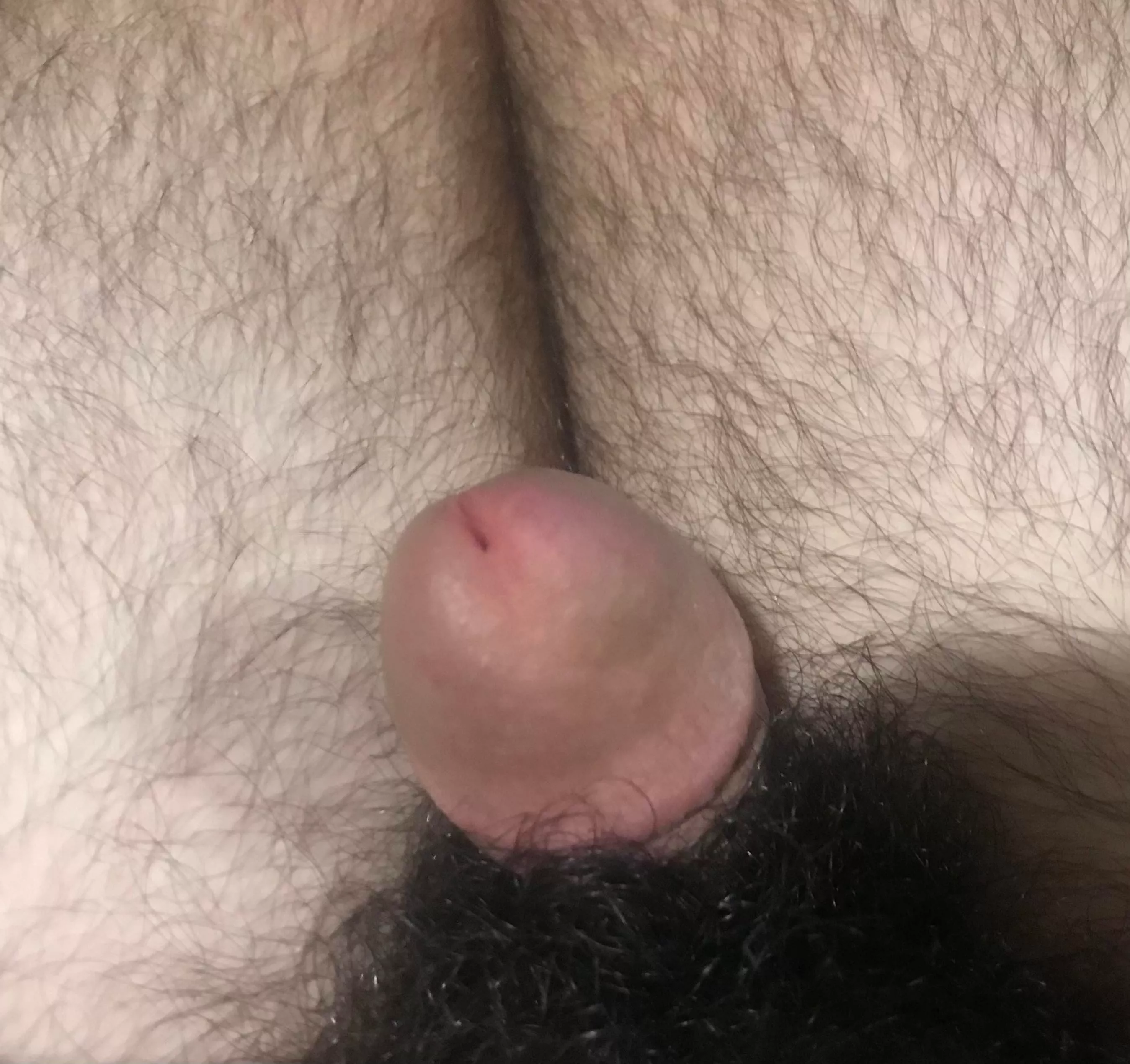 My friend hates having a bush cause it makes his doodle look tiny.. but maybe people don't mind? I think it's funny haha My friend hates having a bush cause it makes his doodle look tiny.. but maybe people don't mind? I think it's funny haha