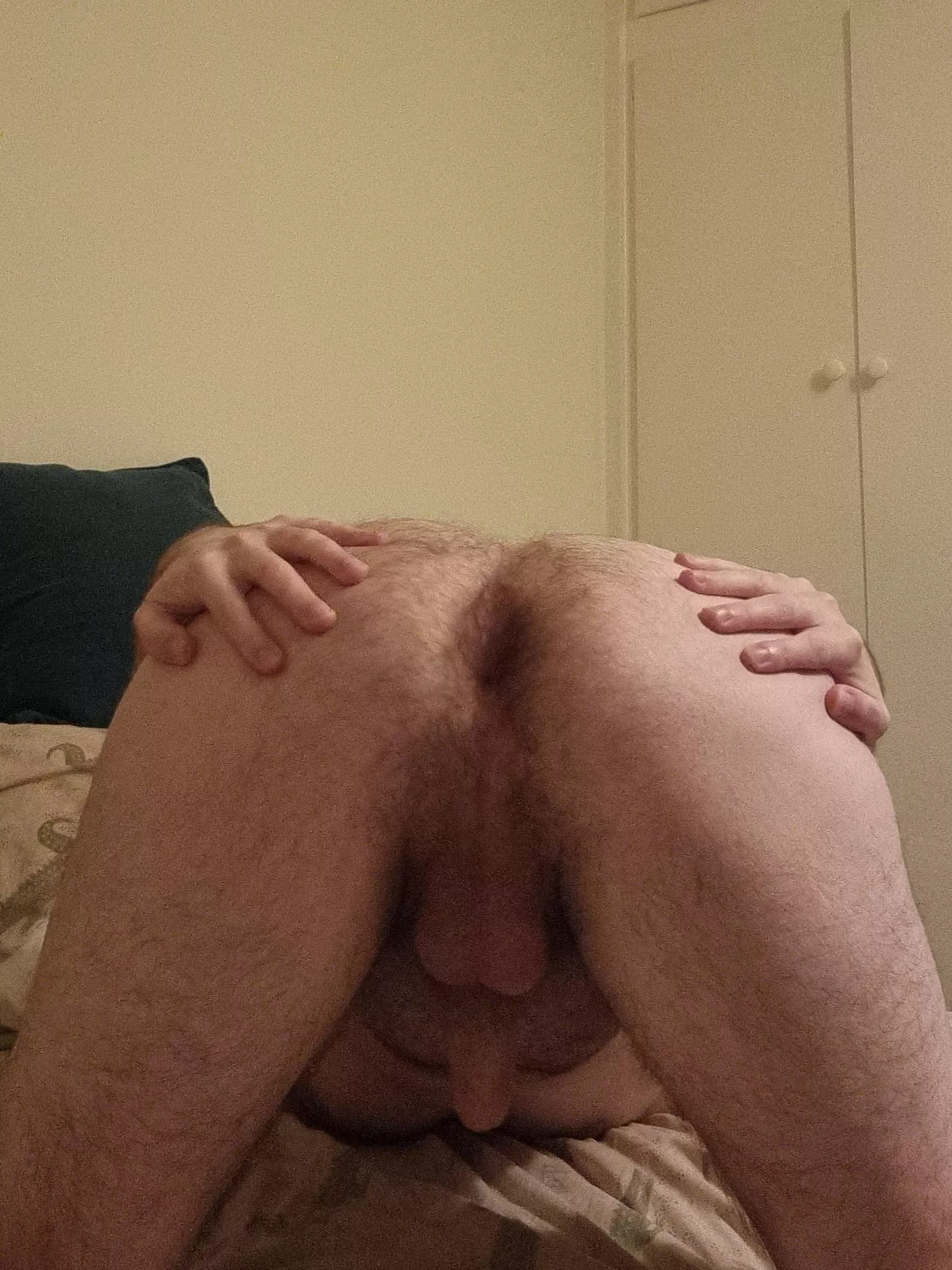 My furry hole is in the mood for someone to treat it right. My furry hole is in the mood for someone to treat it right.