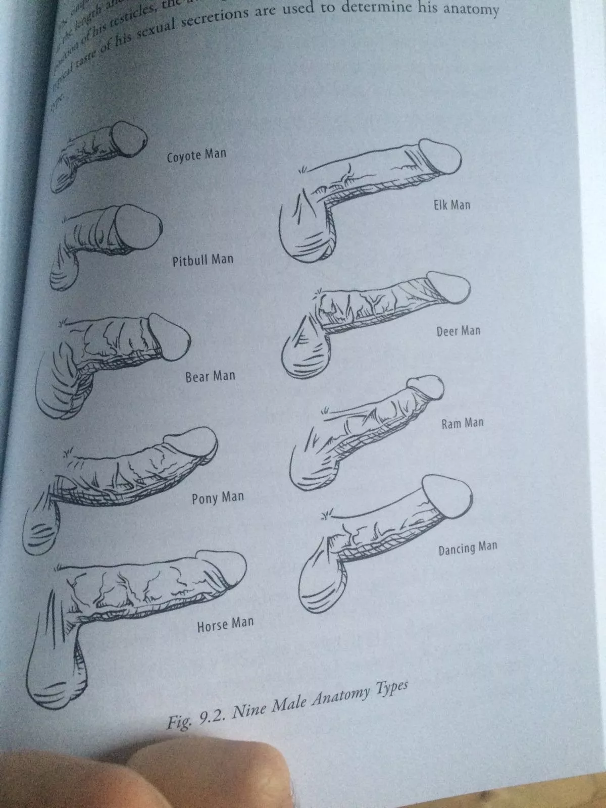 My girlfriend says I'm a deer, which one are you? My girlfriend says I'm a deer, which one are you?