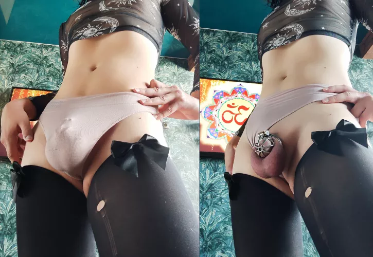 My girly locked cock looks cute under any female thongπ₯°π