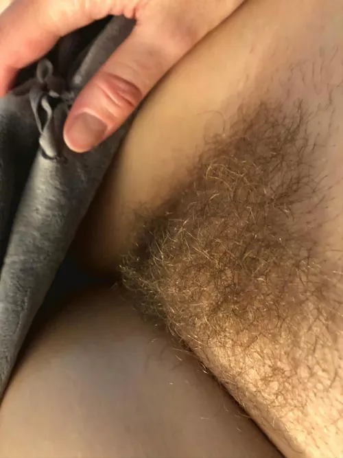 My gorgeous lady's bush!