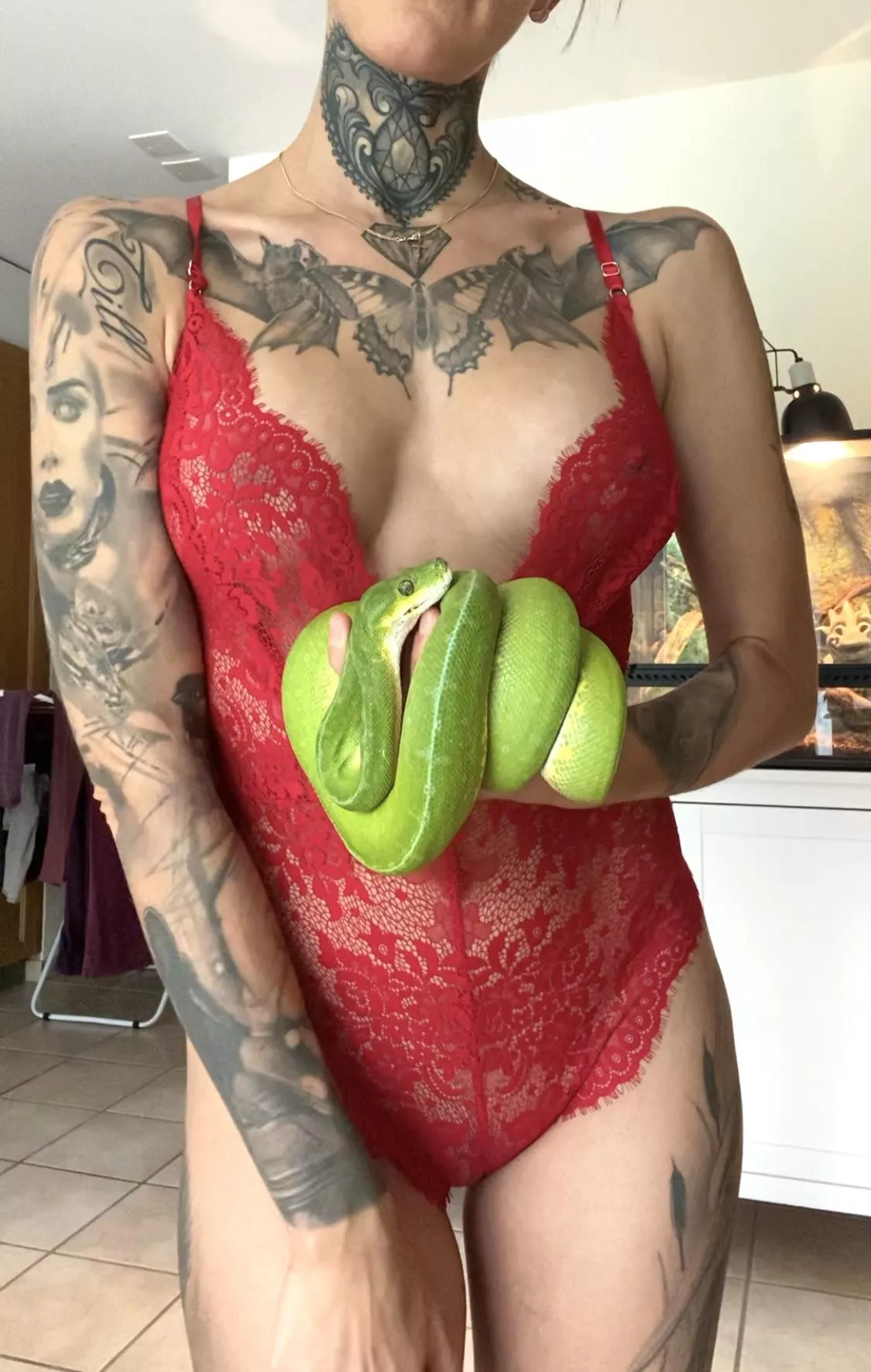 My green tree python