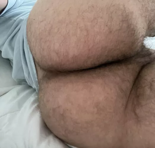 My hairy ass 😈