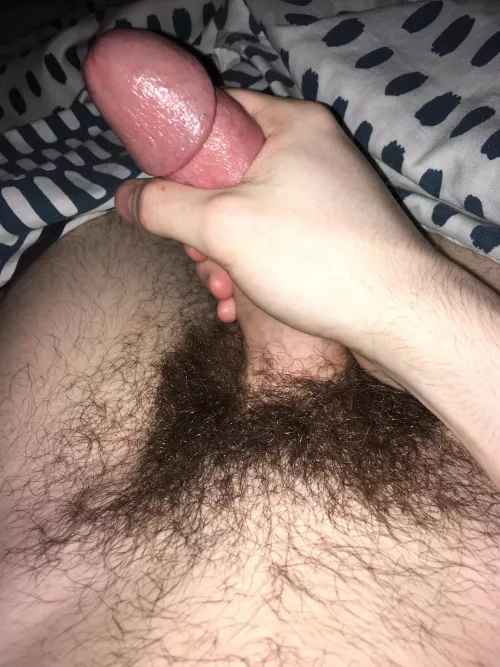 My hairy cock