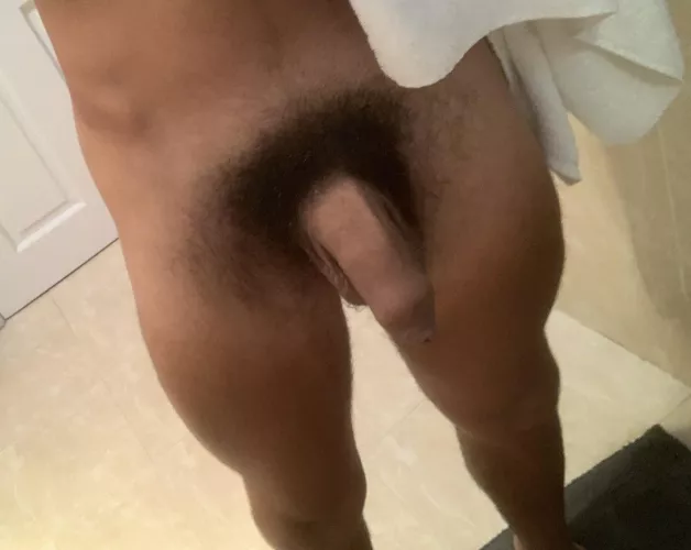 My hairy soft uncut cock fresh out of the shower