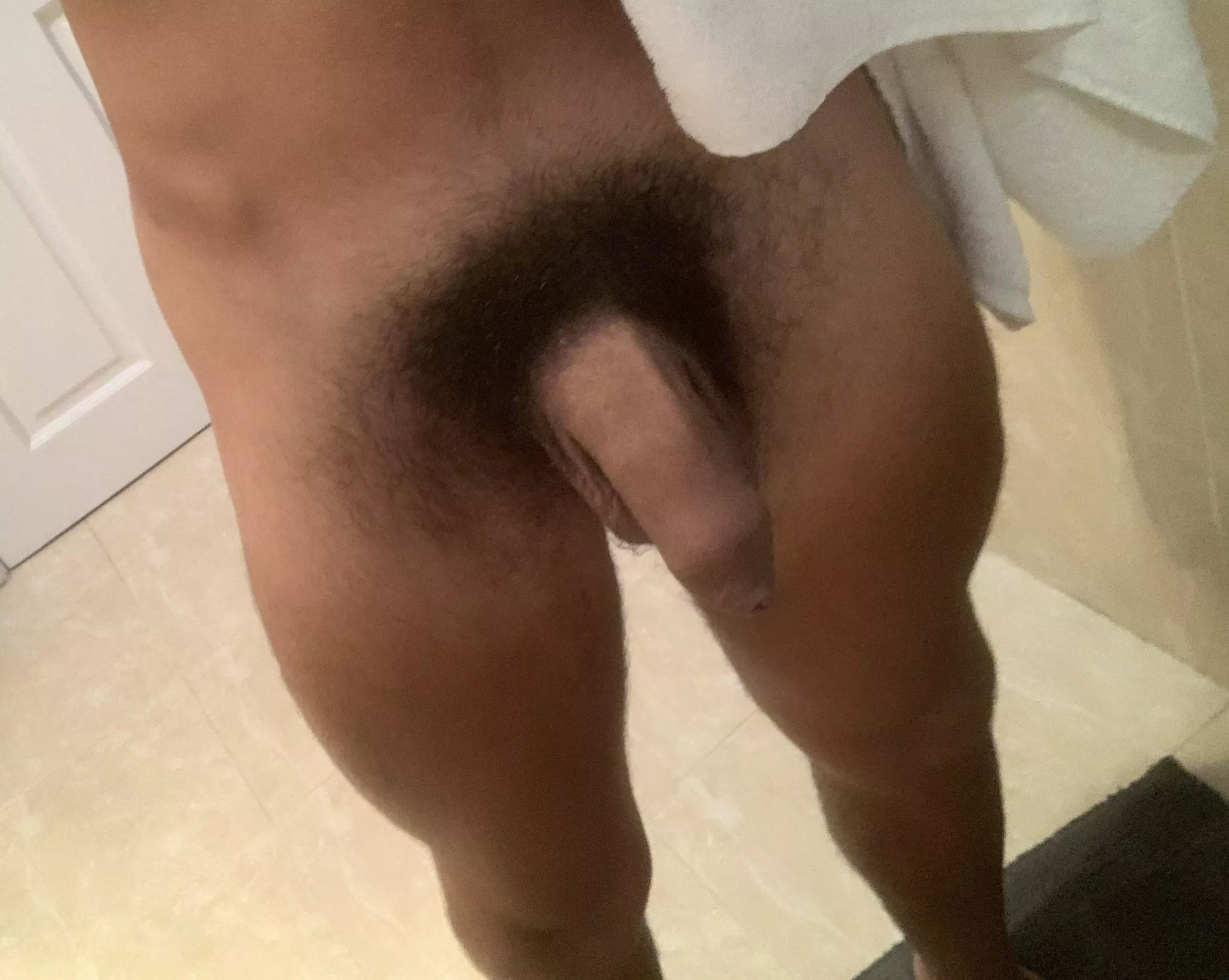 My hairy soft uncut cock fresh out of the shower