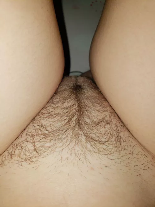My hairy sweet pussy👅