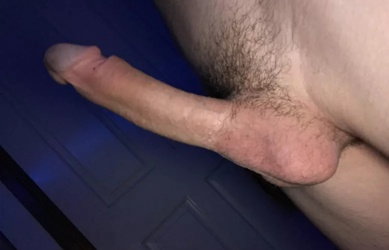 My hard dick (pm me)