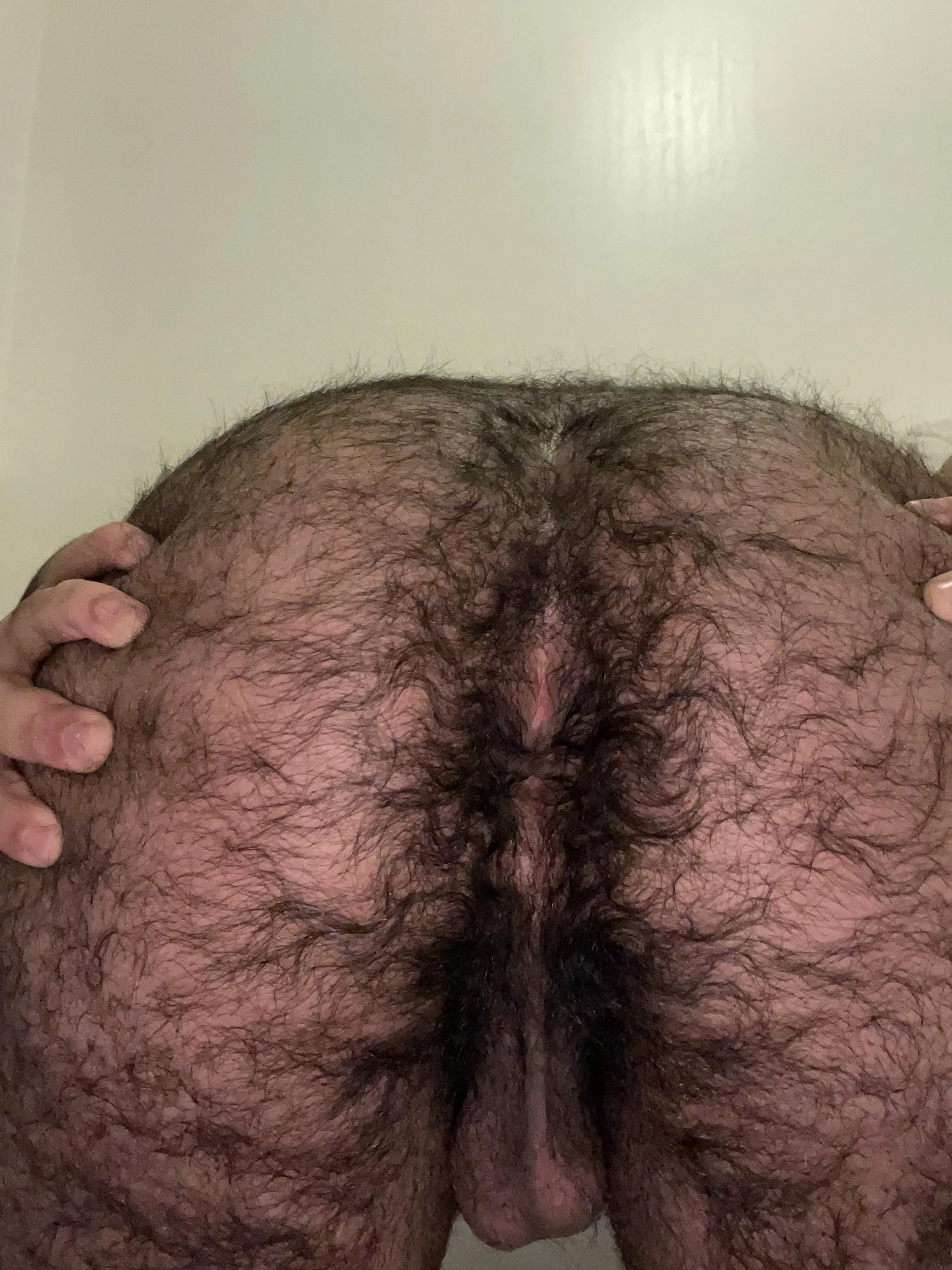 My holes getting lonely😩