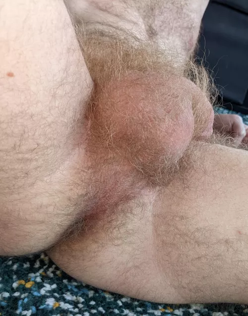 My insanely hairy taint and balls. I hope you don't mind.