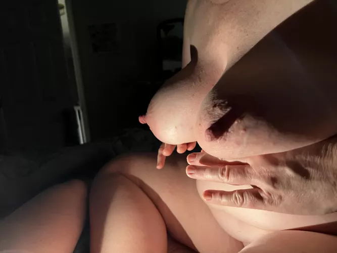 My kitty enjoys some harsh lighting after our play time.