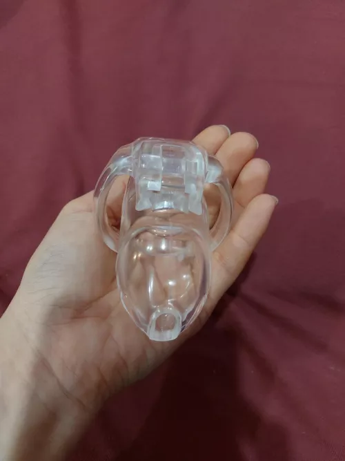 My last purchase, it's perfect for my slave. Do you recognize this cell?