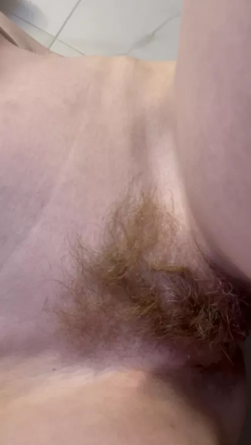 My little lions mane 🥺