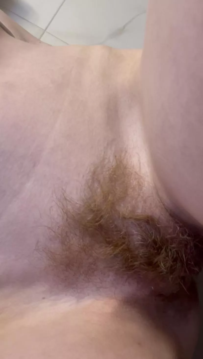 My little lions mane 🥺