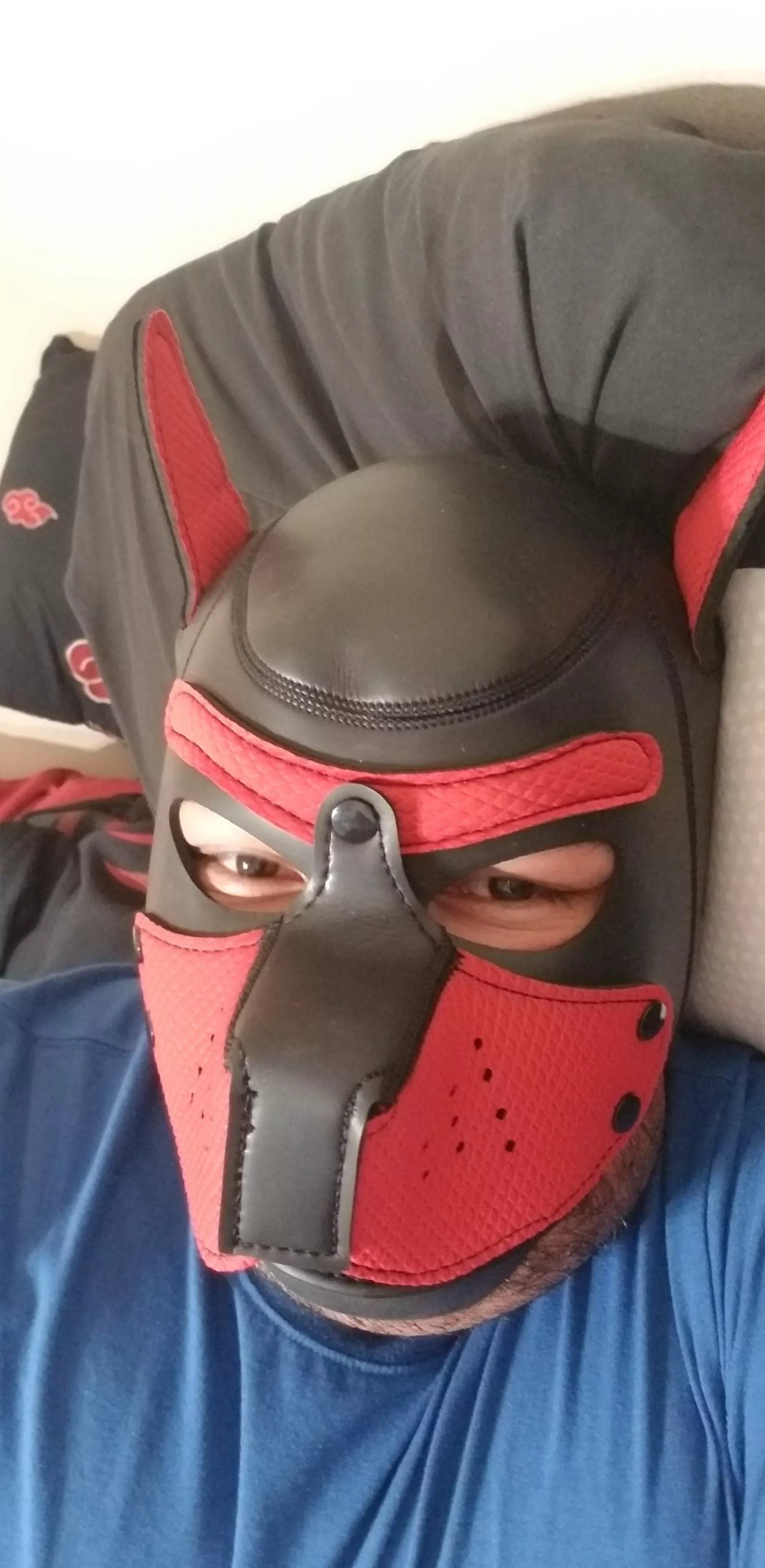 My mask and collar arrived