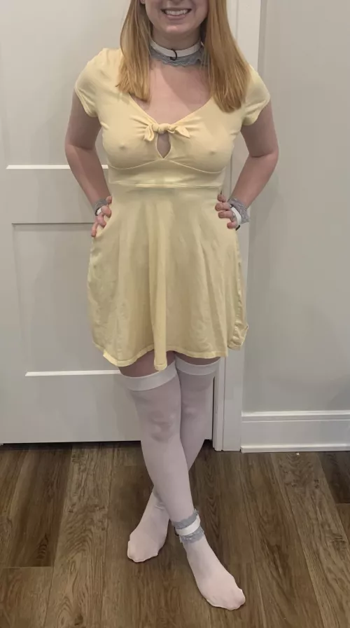 My Master told me to look cute [f]or him today, how’d I do?