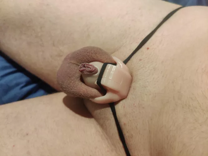 My mini clitty firmly locked π€