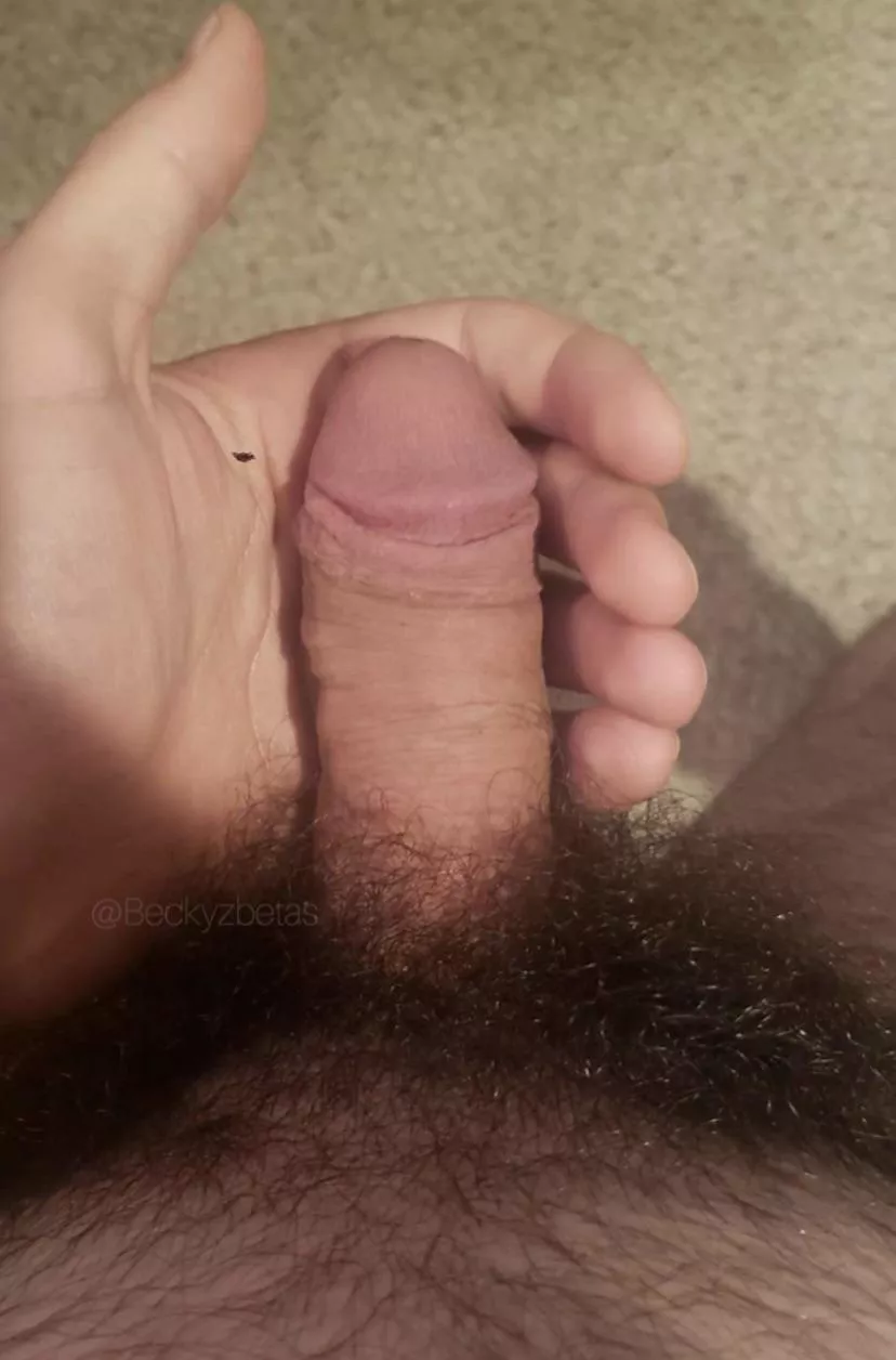 My mistress says I will look good in a pair of panties ..what do u think ? My mistress says I will look good in a pair of panties ..what do u think ?
