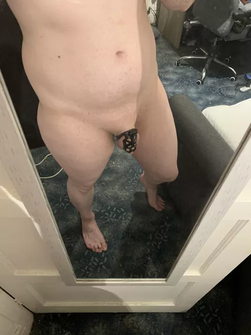 My new cage! You think it suits me ?π₯Ί