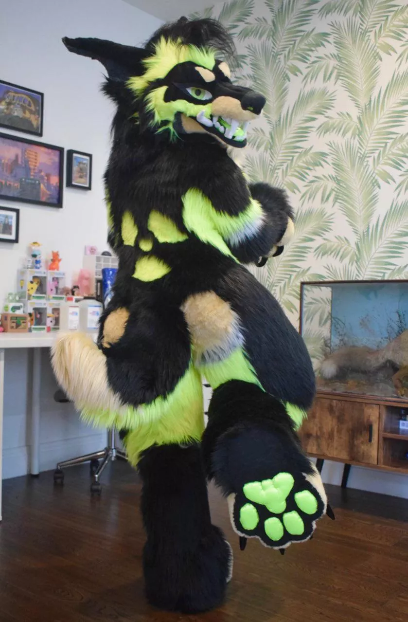 My new fursuit from MakeaFur arrived a couple days ago ;0; I love her so much! My twitter is @YuzuYote if you wanna follow her journey :3