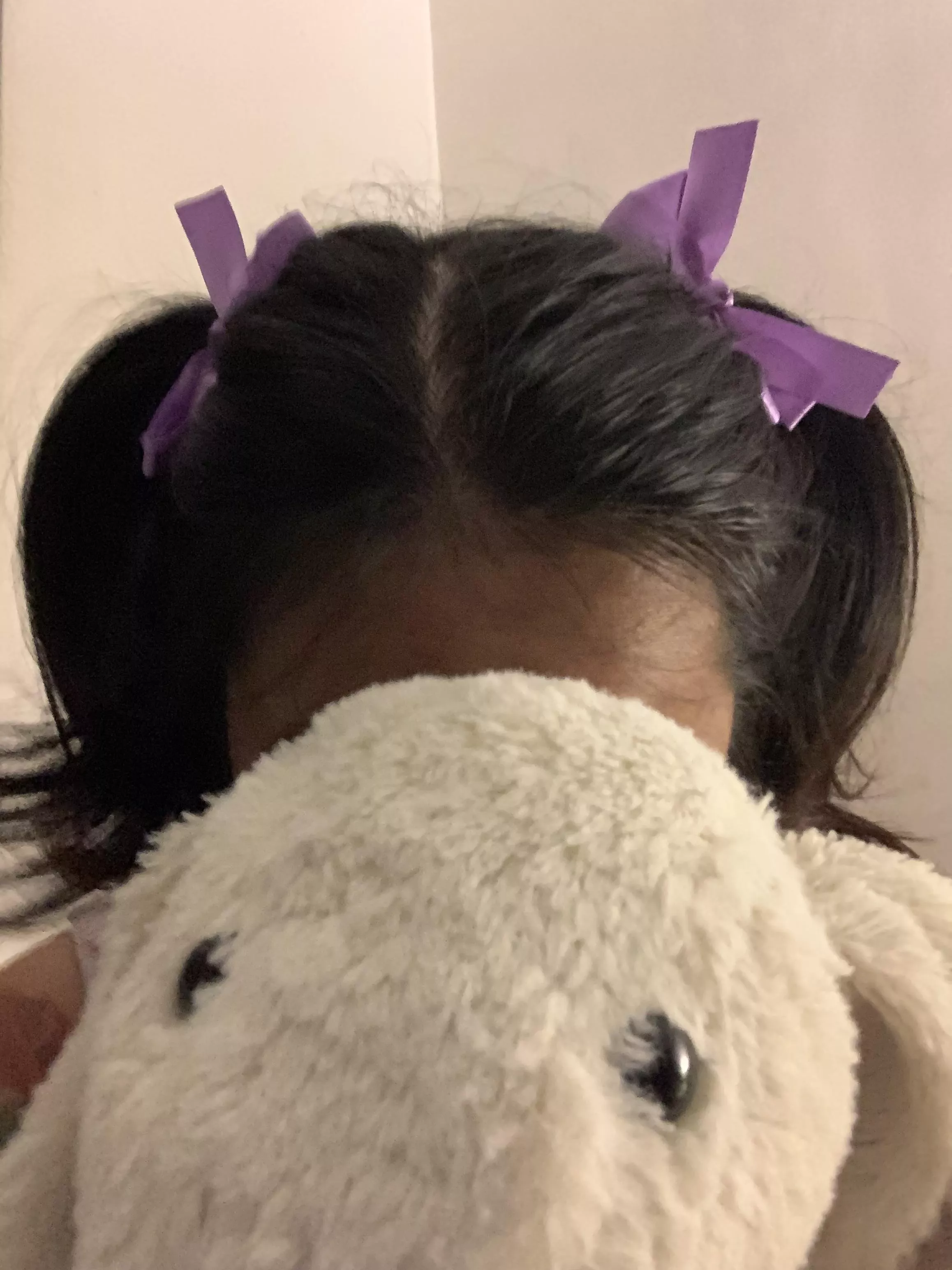 My new hair ties with ribbons! Love em 🎀💜