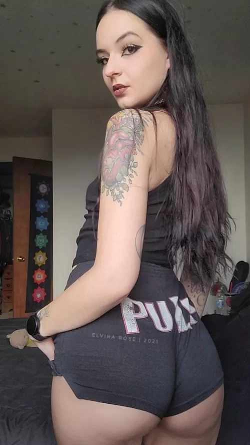 My new years resolution is to go to more concerts again