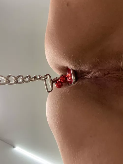 My newest toy! Wanna take me on a walk?