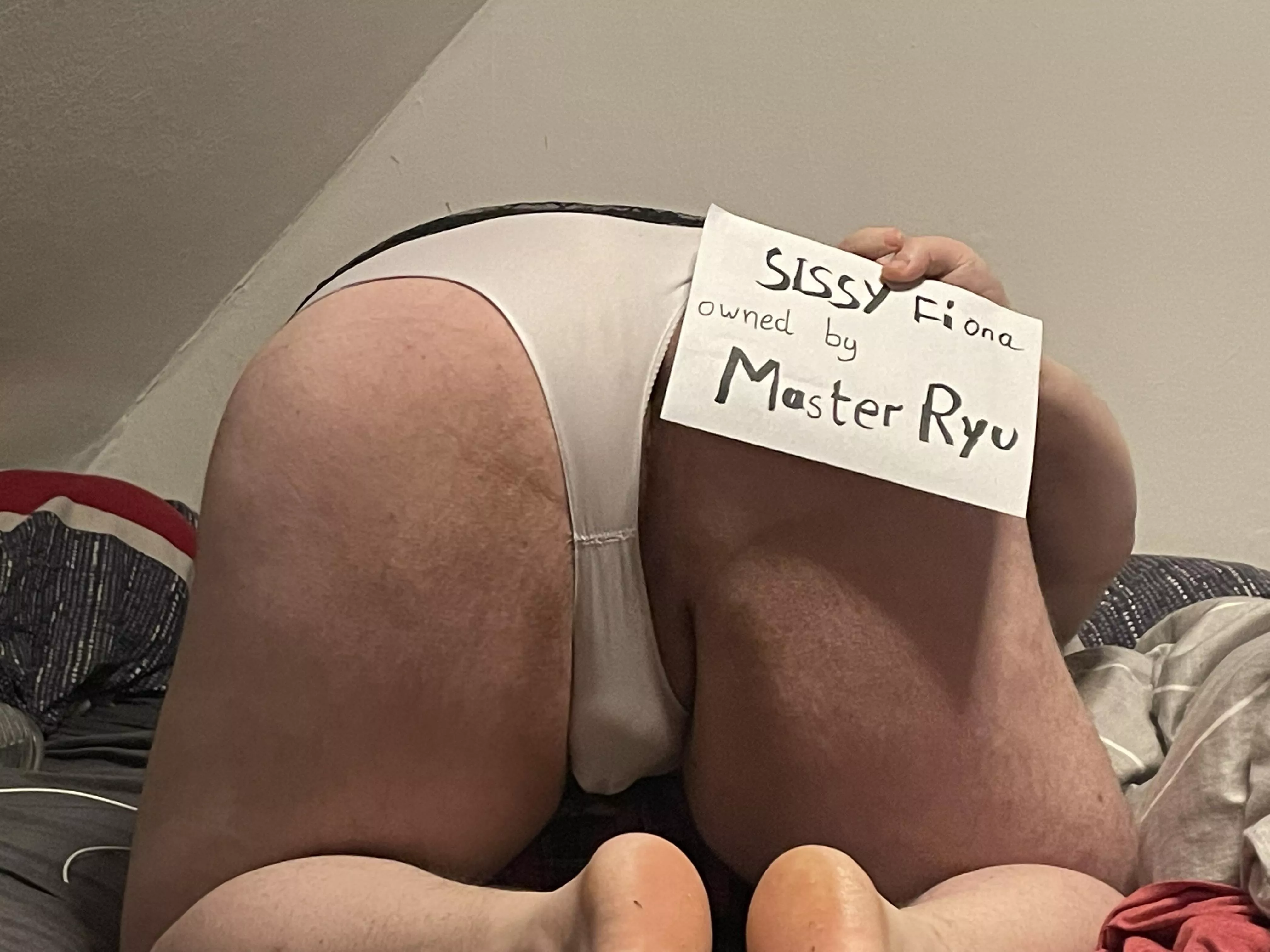 My owner made me post this