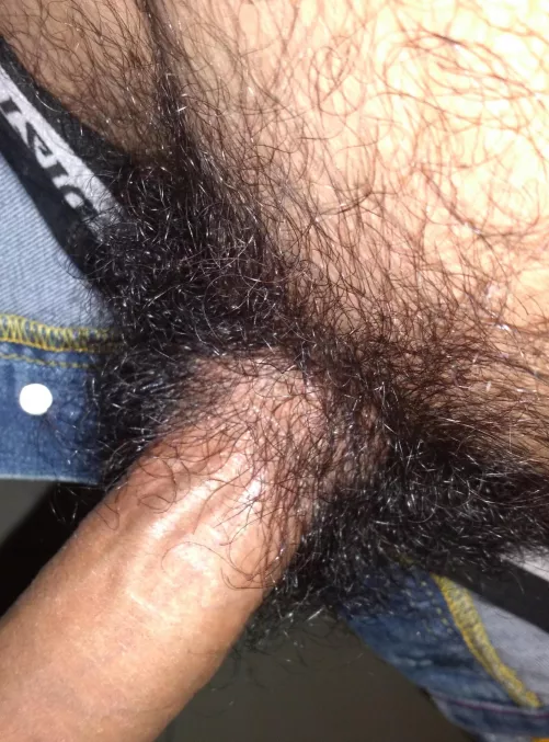 My pubes