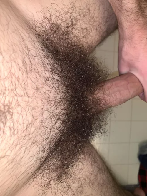 my pubes looking good today