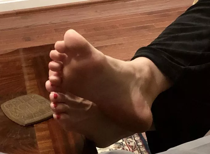 My SIL stopped over last night