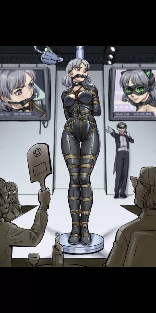 My sister is a superhero named Silver Cat who fights against the World Crime Organization (WCO),my sister was captured by WCO due to an intelligence mistake on my part,now WCO wants to sell my sister as a slave in an auction,My sister's base price is $