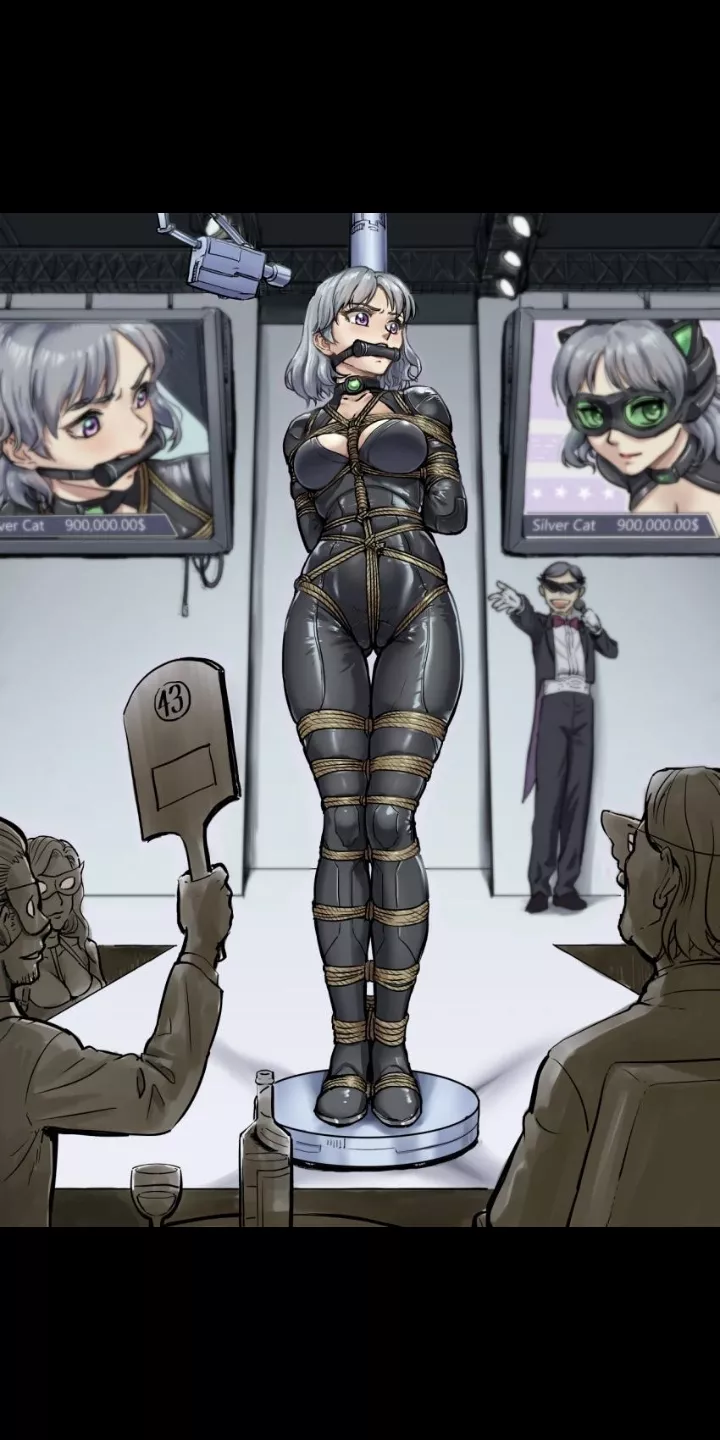 My sister is a superhero named Silver Cat who fights against the World Crime Organization (WCO),my sister was captured by WCO due to an intelligence mistake on my part,now WCO wants to sell my sister as a slave in an auction,My sister's base price is $ 