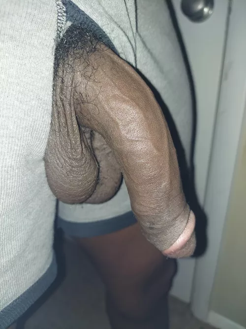 My sleeping snake😴