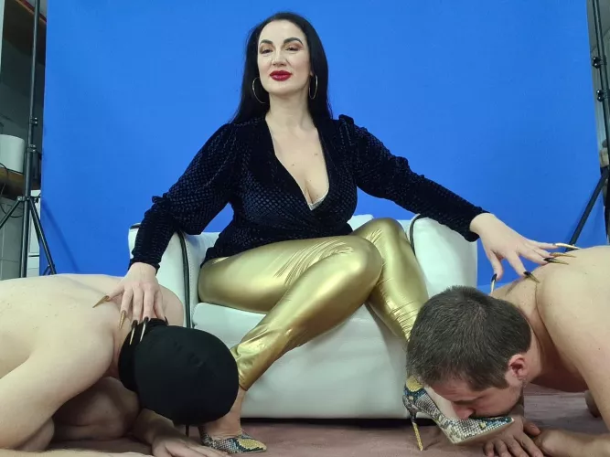 My subs living the life of their dreams