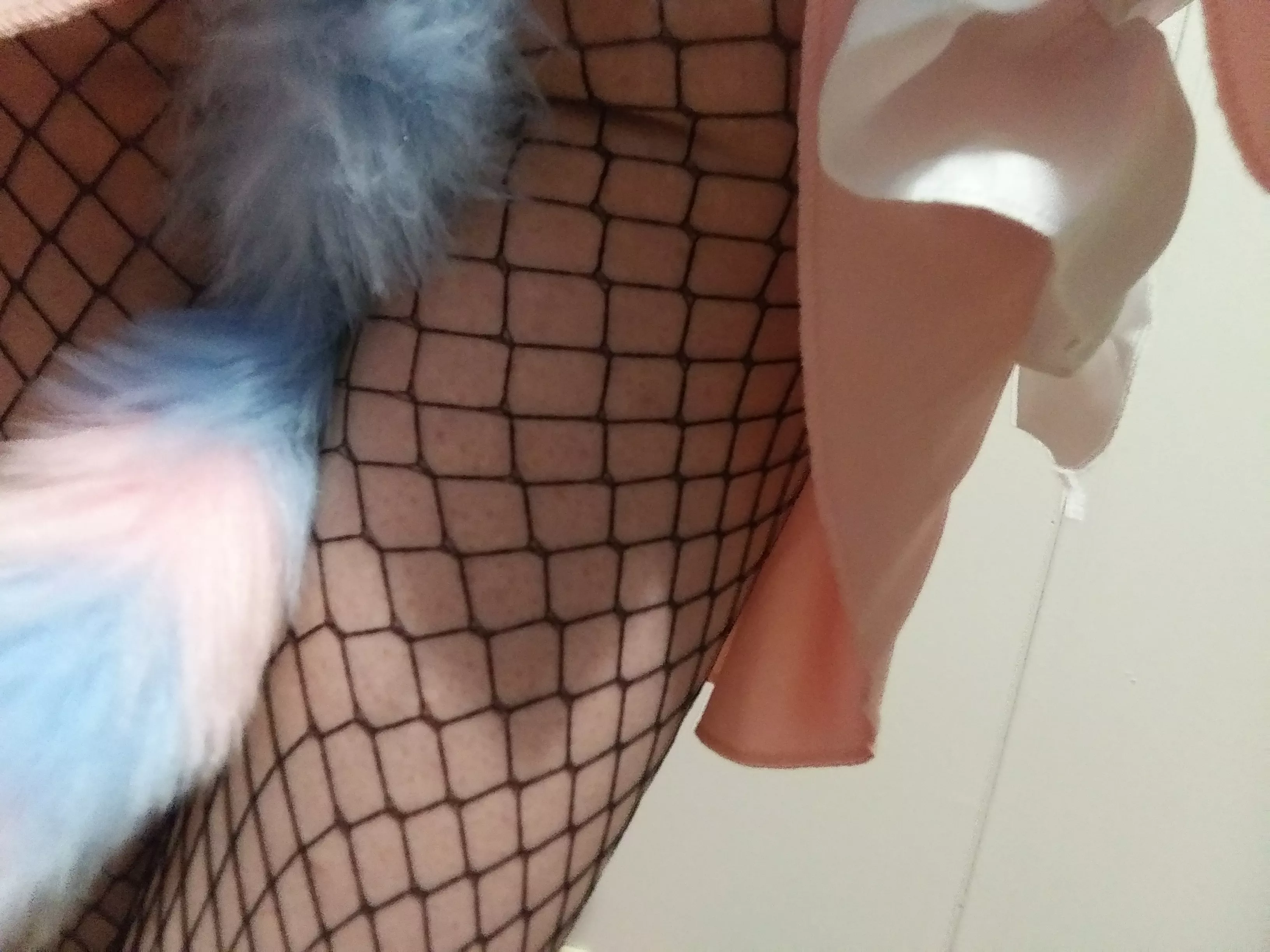 My tail goes so well with the rest of my outfit, Don'tcha think?~ My tail goes so well with the rest of my outfit, Don'tcha think?~