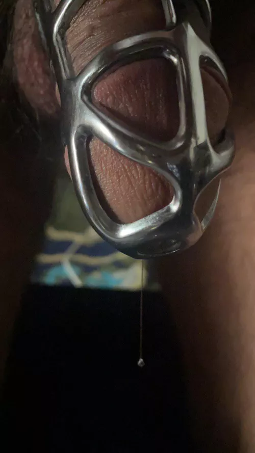 My tears of chastity after 15 days of only edges