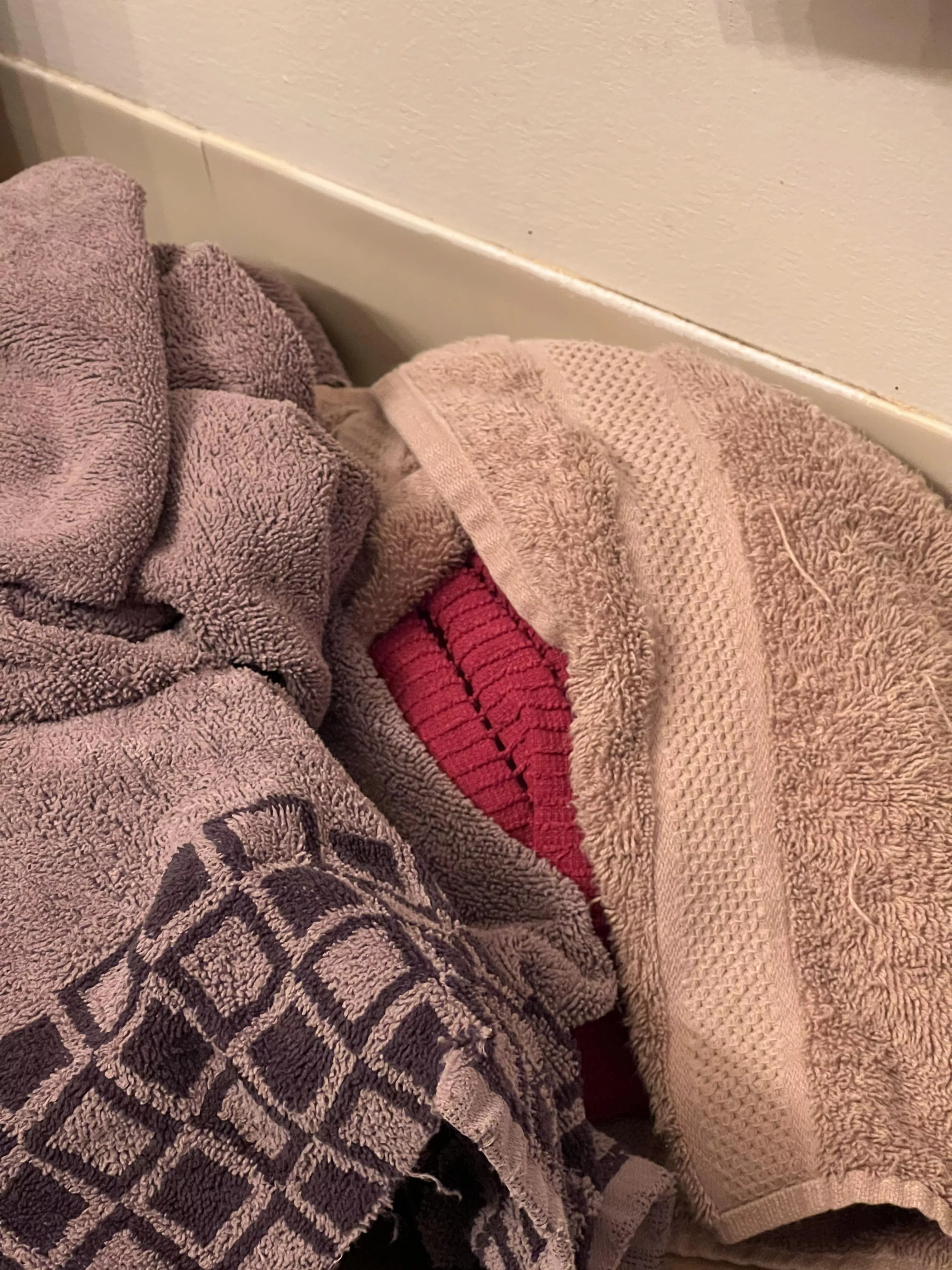 My towels this morning.