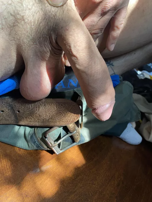 My uncut [M]ember. Do you like?